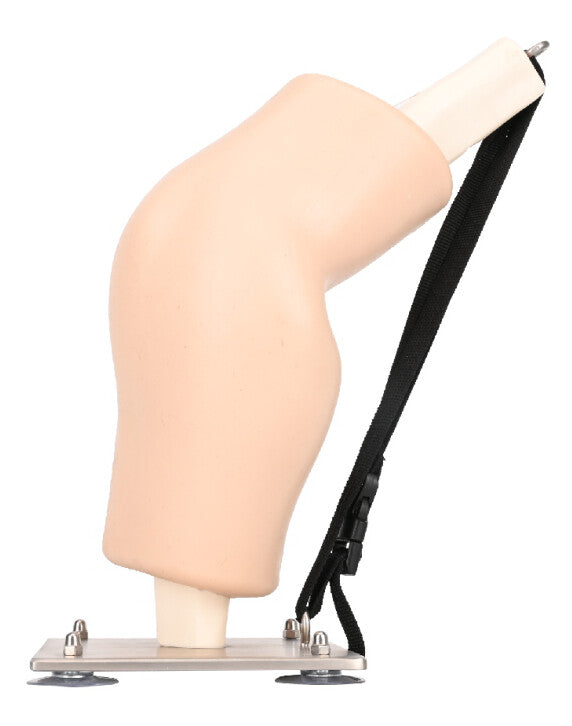 Knee Model 膝関節 模型 関節鏡練習用、曲げられる膝関節、写真2